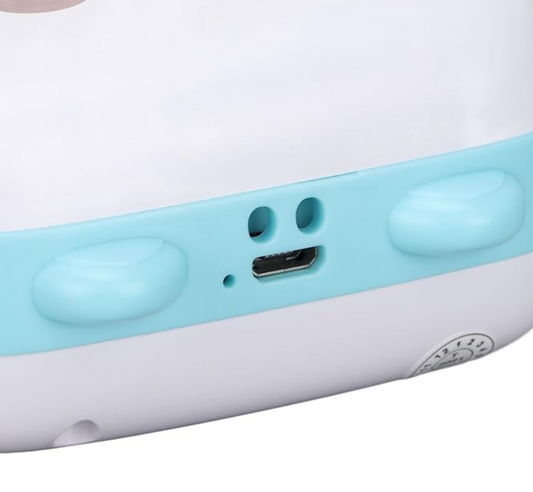 Mini Imprimante Portable